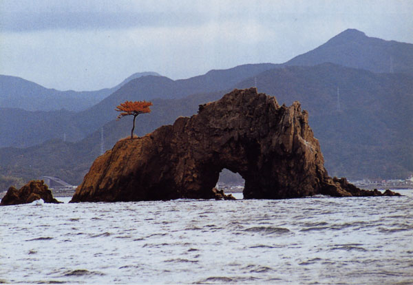 日本の島再発見_山口県_萩諸島_青海島_仙崎八景花津浦