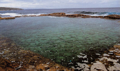 日本の島再発見_沖縄県_大東諸島_南大東島_南大東島の人工プール