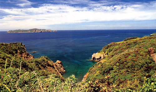 日本の島再発見_東京都_小笠原諸島_母島_母島からの眺望