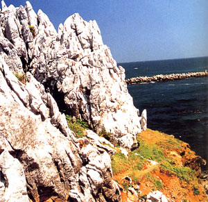 日本の島再発見_三重県_志摩諸島_神島_伊勢港カルスト地形