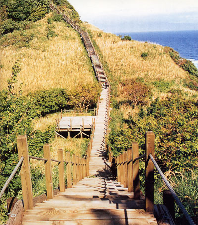 日本の島再発見_新潟県_粟島_粟島の八幡鼻