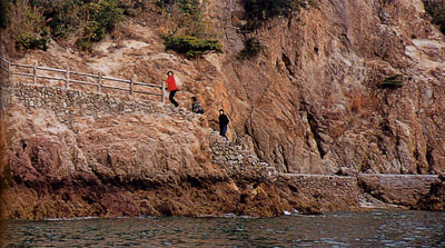 日本の島再発見_広島県_仙酔島_海岸沿いに続く遊歩道