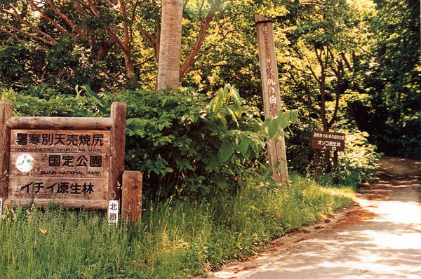 日本の島再発見_北海道_焼尻島_守られる焼尻島の自然