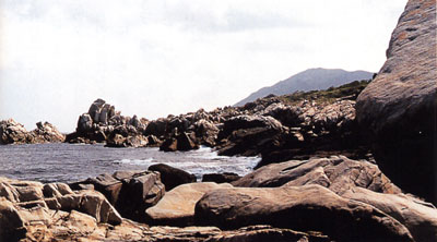 日本の島再発見_鹿児島県_奄美群島_徳之島_ムシロ瀬