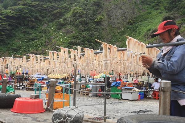 地球の島めぐり_韓国_鬱陵島