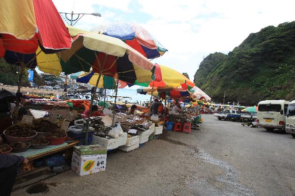 地球の島めぐり_韓国_鬱陵島_港の土産物店