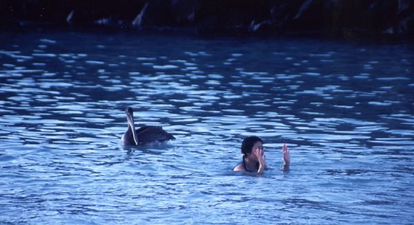 ガラパゴス諸島