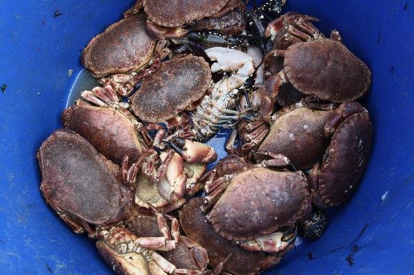 地球の島めぐり_イギリス_アイラ島