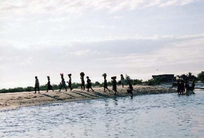 マダガスカル島