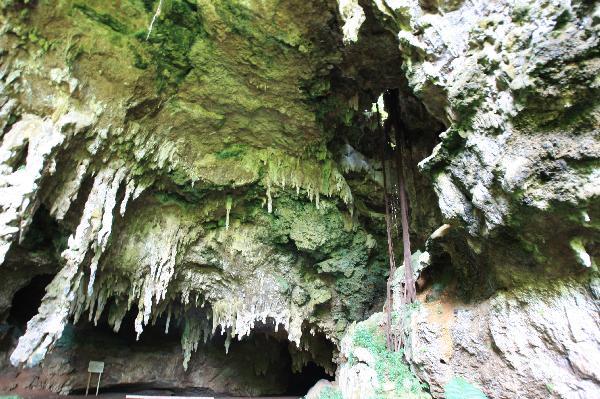 ニューカレドニア　イル･デ･パン島の洞窟
