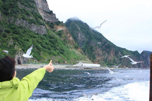 地球の島めぐり_韓国_鬱陵島_小鉄も挑戦