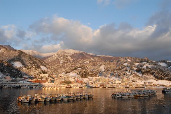 地球の島めぐり_韓国_鬱陵島_写真提供-文化観光課