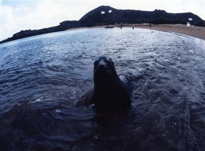 ガラパゴス諸島=Ⅱ