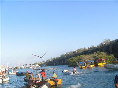 ガラパゴス諸島