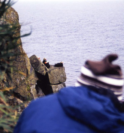 セントポール島