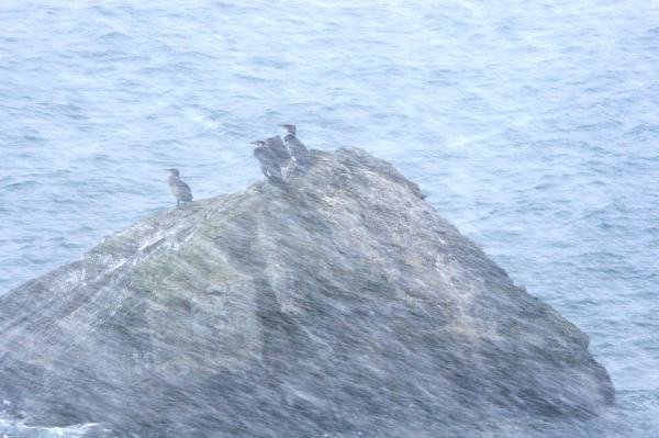 ノルウェー　ロフォーテン諸島