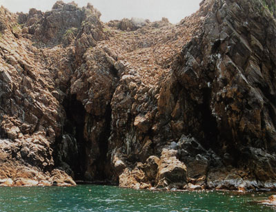 日本の島再発見_山形県_飛島_烏帽子群島