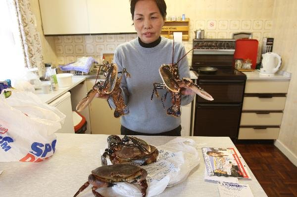 地球の島めぐり_イギリス_アイラ島