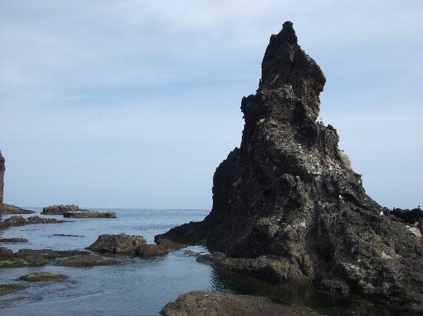 地球の島めぐり_韓国_鬱陵島