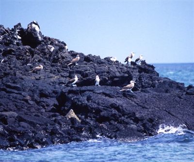 ガラパゴス諸島