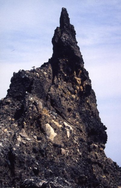 地球の島めぐり_韓国_鬱陵島