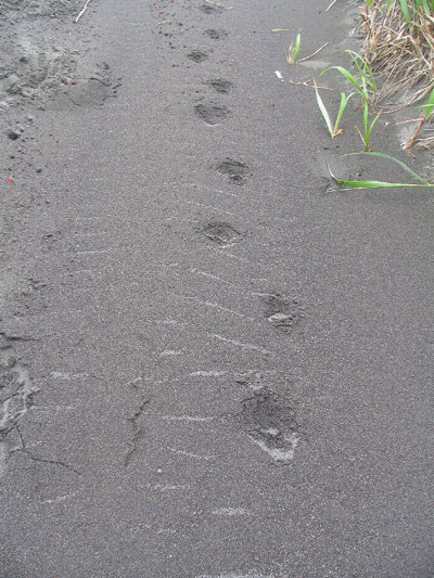 セントポール島