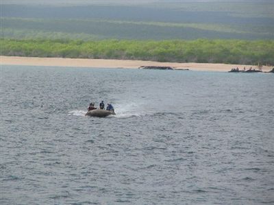 ガラパゴス諸島=Ⅱ