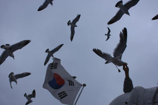 韓国　鬱陵島