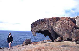 オーストラリア　カンガルー島