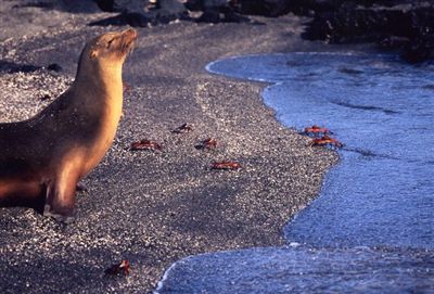 ガラパゴス諸島