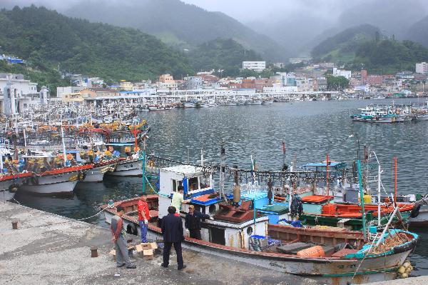 地球の島めぐり_韓国_鬱陵島_チョドン港に停泊するイカ釣り船