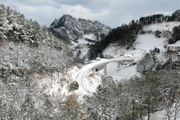 地球の島めぐり_韓国_鬱陵島_文化観光課撮影