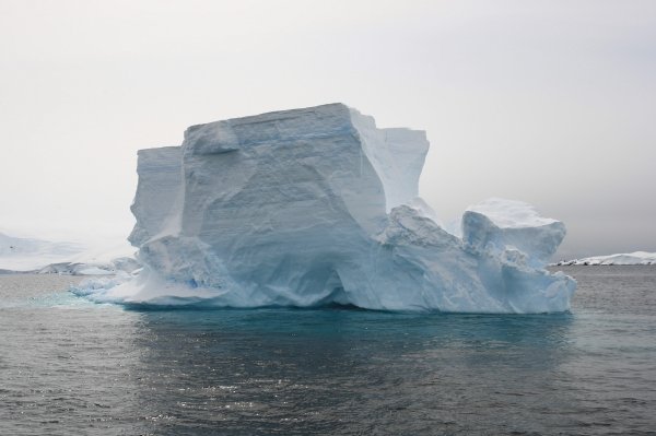 南極写真5