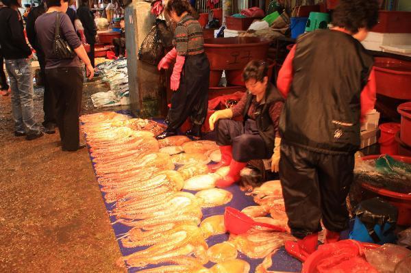 地球の島めぐり_韓国_鬱陵島