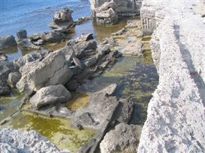 イタリア共和国　ファヴィニャーナ島