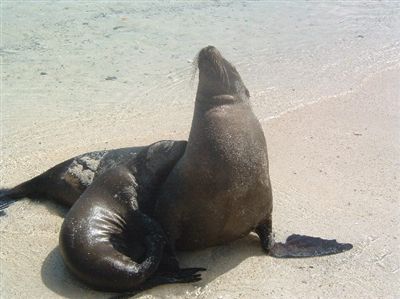 ガラパゴス諸島