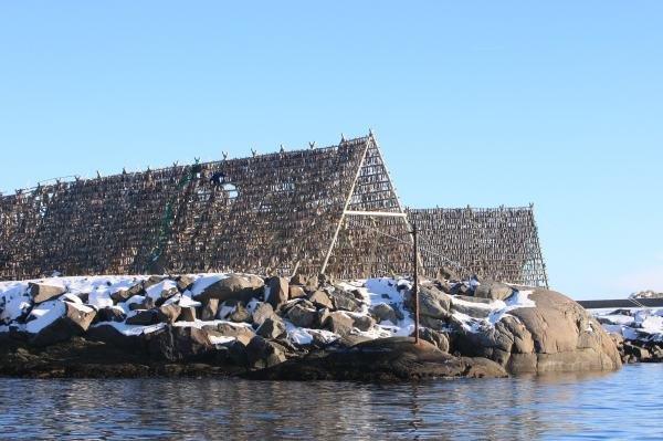 ノルウェー　ロフォーテン諸島