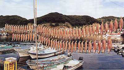 日本の島再発見_長崎県_鷹島_鷹島の魚干し
