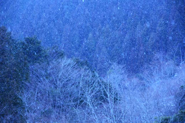 粉雪（奈良・川上村）