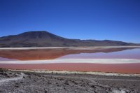 南米ボリビア　赤い湖・コロラダ湖　標高4000m