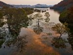 秋の風景2013 北海道・大阪・奈良・京都・兵庫・九州