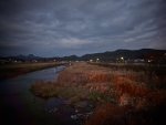 秋の風景2013 北海道・大阪・奈良・京都・兵庫・九州