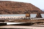 カナリア諸島　ランサローテ島