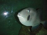 キプロス島_水族館