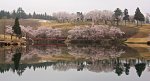 新潟県　妙高サンシャインゴルフクラブ 