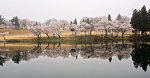 新潟県　妙高サンシャインゴルフクラブ 