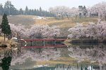 新潟県　妙高サンシャインゴルフクラブ 