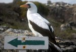 ガラパゴス諸島