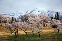 新潟県　妙高サンシャインゴルフクラブ 