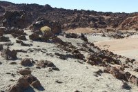 カナリア諸島　テネリフェ島